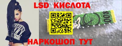 индика Новозыбков