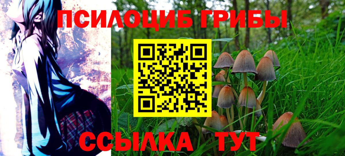 Галлюциногенные грибы Psilocybine cubensis Чайковский
